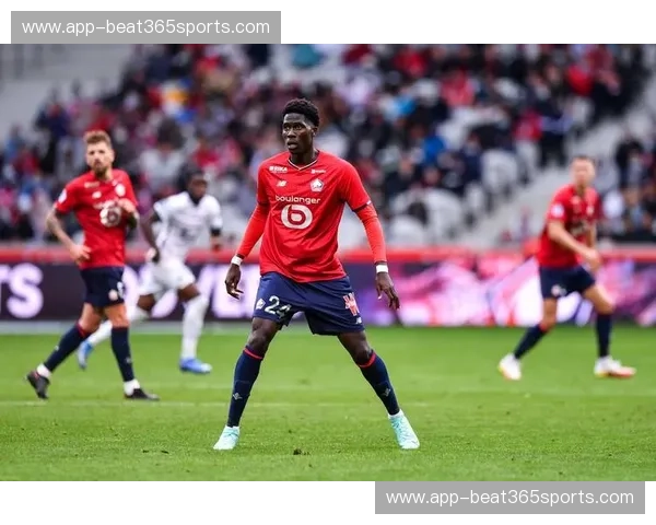 体育直播法甲：全景观赛新体验，与你同在每一刻